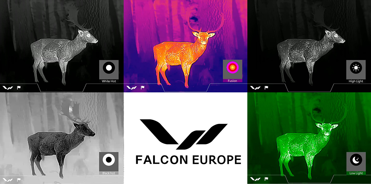 FALCON SURTUR S1-635L