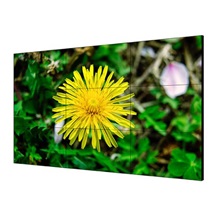 Průmyslový LCD monitor HIKVISION DS-D2055LU-Y