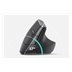 Logitech Wireless Mouse MX Vertical, graphite