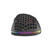 Genesis herní optická myš XENON 800/RGB/Herní/Optická/Pro praváky/6 000 DPI/Drátová USB/Černá