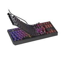 Genesis herní klávesnice THOR 230/TKL/RGB/Outemu Brown/Drátová USB/US layout/Černá