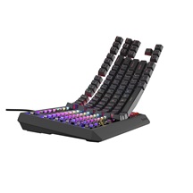 Genesis herní klávesnice THOR 230/TKL/RGB/Outemu Brown/Drátová USB/US layout/Černá