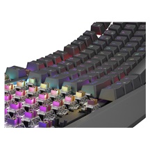 Genesis herní klávesnice THOR 230/TKL/RGB/Outemu Brown/Drátová USB/US layout/Černá