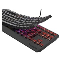 Genesis herní klávesnice THOR 230/TKL/RGB/Outemu Brown/Drátová USB/US layout/Černá