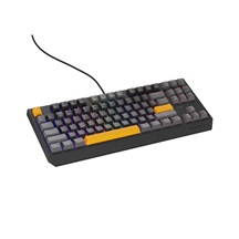 Genesis herní klávesnice THOR 230/TKL/RGB/Outemu Red/Drátová USB/US layout/Anchor Positive Šedá