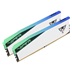Patriot Viper Elite 5/DDR5/48GB/6000MHz/CL42/2x24GB/RGB/White