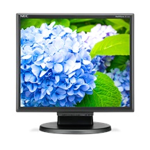 17" LED NEC E172M,1280x1024,TN,250cd,50mm,BK