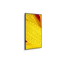 50" LED NEC ME501,3840x2160,VA,18/7,400cd