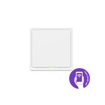 Tesla Smart Switch ZigBee