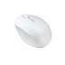 ASUS Fragrance Mouse MD101/Ergonomická/Optická/2 400 DPI/USB+BT/Bílá