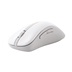 ASUS Wireless Mouse MD102/Kancelářská/Optická/Pro praváky/1 600 DPI/USB+BT/Bílá
