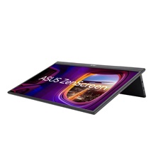ASUS ZenScreen/MB17AHG/17,3"/IPS/FHD/144Hz/5ms/Black/3R