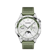Huawei Watch GT 4/46mm/Silver/Elegant Band/Green