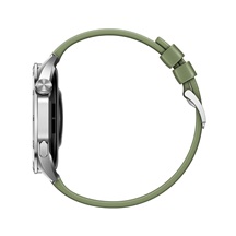 Huawei Watch GT 4/46mm/Silver/Elegant Band/Green