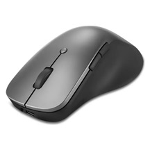Lenovo Professional/Ergonomická/Blue Track/Pro praváky/4 000 DPI/Bezdrátová Bluetooth/Šedá
