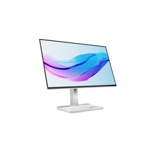 Lenovo/L24m-4A/23,8"/IPS/FHD/100Hz/1ms/Gray/3R