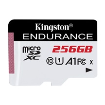 Kingston Endurance/micro SDXC/256GB/UHS-I U1 / Class 10