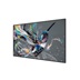 55" D-LED Philips 55BDL3511Q-UHD,IPS,400cd,MP,18/7