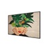 55" D-LED Philips 55BDL4511D-UHD,VA,500cd,MP,24/7