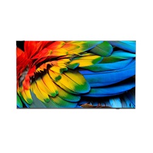 58" HTV Philips 58HFL6214U - Business TV
