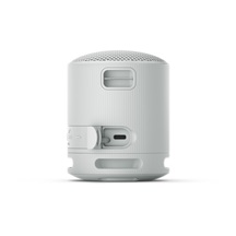 Sony SRS-XB100/Mono/Šedá