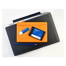 WD Blue SA510/250GB/SSD/2.5"/SATA/5R