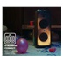 Stromberg TONE 2 Bluetooth reproduktor s mikrofonem, 80W