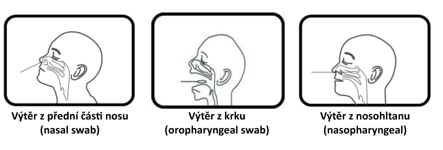 skupiny testovani
